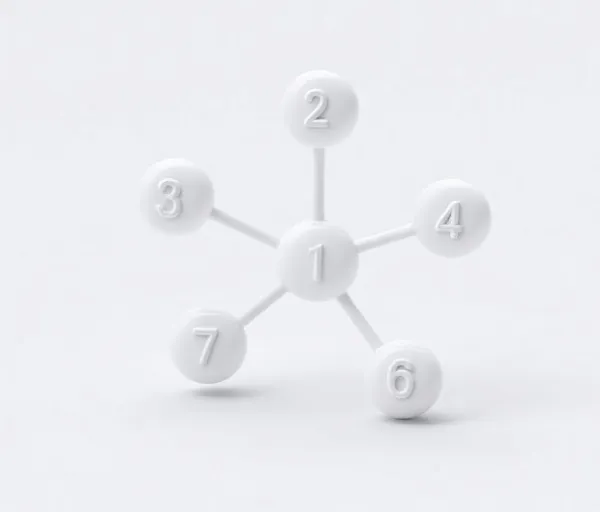 正码组合示意图